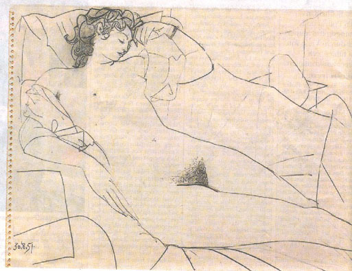 http://www.meaus.com/97-1951-picasso-odalisque.JPEG